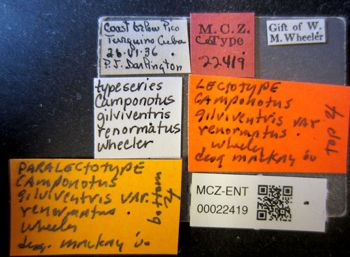 Media type: image;   Entomology 22419 Aspect: labels
